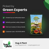 Picked by green experts at Hug A Plant