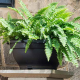 Bowl Planter 45cm Round Plastic Pot for Home & Garden