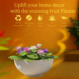 Lilly Rotomolded Pot for Home & Garden (Pack of 1)