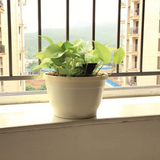 Tuka 25 Round Plastic Pot (Without Self-Watering Kit)