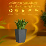 Gem Rotomolded Pots for Home & Garden (Pack of 1)