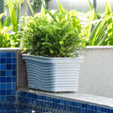 Florence Rectangle Rotomolded Plastic Pot With Wheels for Home & Garden (Pack Of 1, Brown Stone Finish)