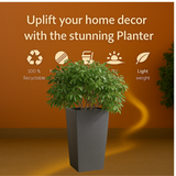 Stella Rotomolded Pots for Home & Garden (Pack of 1)