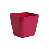 Siena 17cm Square Plastic Pot
