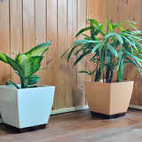 Chatura 23cm Square Self-Watering Plastic Pot Plastic Pot