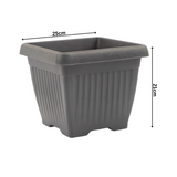 Hug A Plant | Bello Square 25CM Plastic Pot for Home & Garden (Pack of 1)