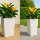 Stella Rotomolded Pots for Home & Garden (Pack of 1)