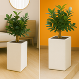 Cubo 2412 Rotomolded Pots for Home & Garden (Pack of 1)