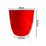 Hug A Plant | Sunny Small Round Plastic Pot with Inner for Home & Garden (20CM|8 INCH)