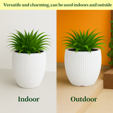 Poppy Rotomolded Pots for Home & Garden (Pack of 1)