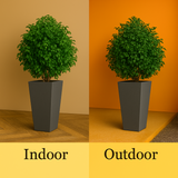 Gem Rotomolded Pots for Home & Garden (Pack of 1)