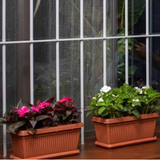 Hug A Plant | Bello Rectangle 30CM Plastic Pot for Home & Garden (Pack of 1)