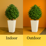 Gem Rotomolded Pots for Home & Garden (Pack of 1)