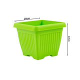 Hug A Plant |Bello Square 20CM Plastic Pot for Home & Garden (Pack of 1)