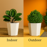 Gem Rotomolded Pots for Home & Garden (Pack of 1)