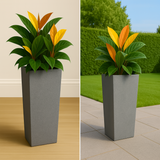 Stella Rotomolded Pots for Home & Garden (Pack of 1)