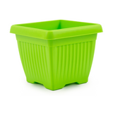 Hug A Plant | Bello Square 25CM Plastic Pot for Home & Garden (Pack of 1)