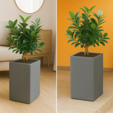 Cubo 2412 Rotomolded Pots for Home & Garden (Pack of 1)