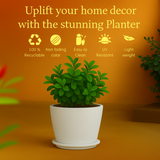 Nora Rotomolded Pots And Tray for Home & Garden (Pack of 1)