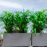 Hug A Plant | Quebec Rectangle 60CM Rotomolded Plastic Pot for Home & Garden (Pack of 1)