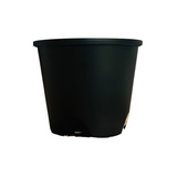 4 Inch Grower Plastic Pot Black