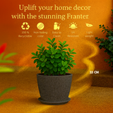 Nora Rotomolded Pots And Tray for Home & Garden (Pack of 1)