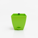 Chatura 8cm Self Watering Square Pot with Rail Hook for Home & Garden Decor (8CM|3.4INCH)
