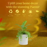 Dora Line Rotomolded Pot for Home & Garden (Pack of 1)