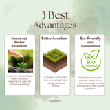 Hug A Plant : Coir Pith Compost For Plants