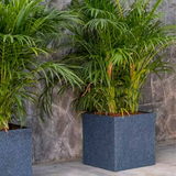 Quebec Square Rotomolded Plastic Pot for Home & Garden (Midnight Stone Finish, Pack of 1)