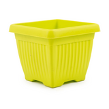 Hug A Plant | Bello Square 25CM Plastic Pot for Home & Garden (Pack of 1)