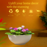 Lilly Rotomolded Pot for Home & Garden (Pack of 1)