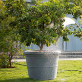 Duro Rotomolded Round Plastic Pot For Home & Garden (Grey Stone Finish, Pack Of 1)