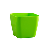 Siena 17cm Square Plastic Pot