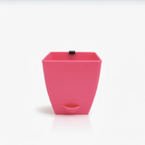 Chatura 8cm Self Watering Square Pot with Rail Hook for Home & Garden Decor (8CM|3.4INCH)