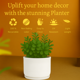 Mia Rotomolded Pots And Tray for Home & Garden (Pack of 1)