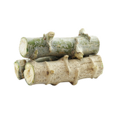 Tapioca Stem Cuttings Live Plant (Home & Garden)