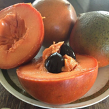 Red Faisan Fruit (Pouteria Viridis) Seedling Fruit Plant (Home & Garden Plants)