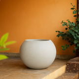 Globe Rotomolded Pots for Home & Garden (Pack of 1)
