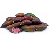 Finger Lime (Citrus australasica) Fruit Plant (Home & Garden Plants)