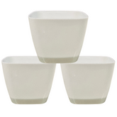 V2 14cm Square selfwatering Pot For Tabletop | Office | Indoor Garden | Home& Garden (5.5INCH | 14CM)