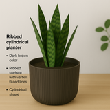 Hug a plant Ebizia Plastic Pot for Home & Garden (Pack of 1)