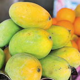 Priyoor Mango (Grafted) (Mangifera indica) Fruit Live Plant (Home & Garden)