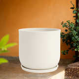 Mia Rotomolded Pots And Tray for Home & Garden (Pack of 1)