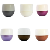 Hug A Plant Self-Watering Miniature Pot ƒ?? Mixed Colors for Home & Garden