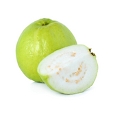 Allahabad Safeda Guava Fruit Plant (Home & Garden Plants)