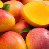 Sindoor Mango(Mangifera indica) Fruit Live Plant (Home & Garden)