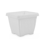 Hug A Plant |Bello Square 20CM Plastic Pot for Home & Garden (Pack of 1)