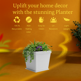 Marco Rotomolded Pots And Tray for Home & Garden (Pack of 1)