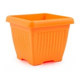 Hug A Plant | Bello Square 25CM Plastic Pot for Home & Garden (Pack of 1)